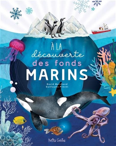 Communication Jeunesse La D Couverte Des Fonds Marins