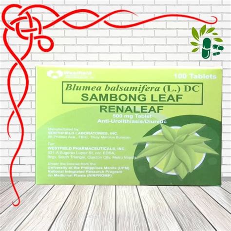 Renaleaf Sambong Leaf 100 Tablets Lazada Ph