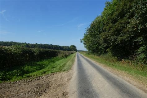 Lane Near Sir John S Plantation DS Pugh Cc By Sa 2 0 Geograph