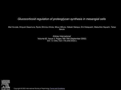 Glucocorticoid Regulation Of Proteoglycan Synthesis In Mesangial Cells