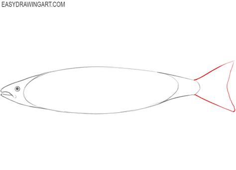 How to Draw a Salmon - Easy Drawing Art