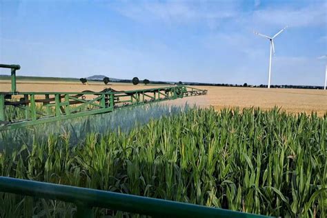 Zwalczanie Omacnicy Prosowianki W Kukurydzy Sumi Agro Poland