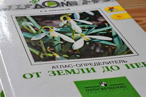 Школа атлас определитель