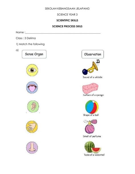 Science Observation Worksheets And Activities Teachervision Worksheets Library