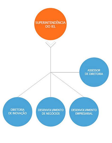 O Que É Superintendência - Superintendência - IEL - Instituto Euvaldo Lodi