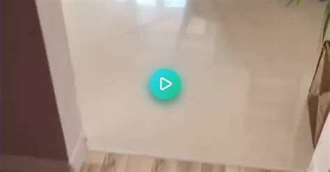 Heated Floors Got Kitty Like Album On Imgur