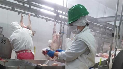 En Julio De 2023 Se Exportaron 42 4 Mil Toneladas De Carne Bovina