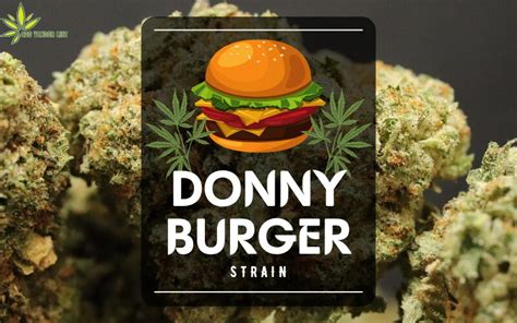 What Is The Donny Burger Strain Ultimate Strain Review