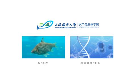 上海徐汇上海海洋大学水产与生命学院logo设计 特创易