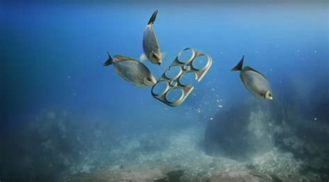 A Brewery In Florida Is Saving Sea Turtles With An Edible Six Pack Ring