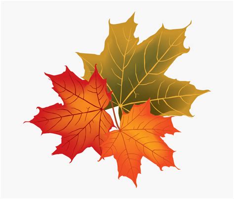 Fall Leaves Vector Png , Transparent Cartoons - Fall Leaves Vector Png ...