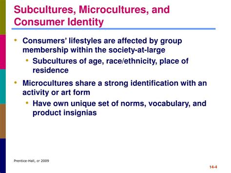 PPT Chapter 14 Ethnic Racial And Religious Subcultures PowerPoint