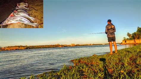 Mira Todo Lo Que Pico En Este Lugar Pesca Y Cocina Me Cruze A Una Isla