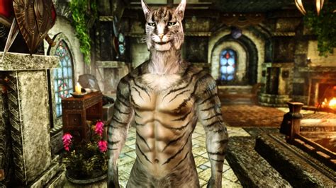 Top 10 Best Skyrim Khajiit Mods TBM TheBestMods