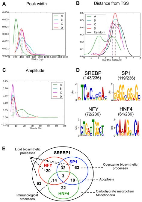 Features Of Srebp Binding Sites A Distribution Of Peak Lengths In