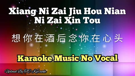 Xiang Ni Zai Jiu Hou Nian Ni Zai Xin Tou 想你在酒后念你在心头 Karaoke No Vocal