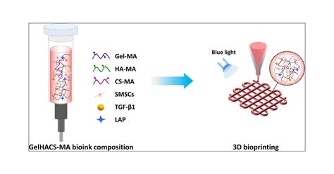 3d Bioprinting Using Synovium Derived Msc Laden Photo Cross Linked Ecm