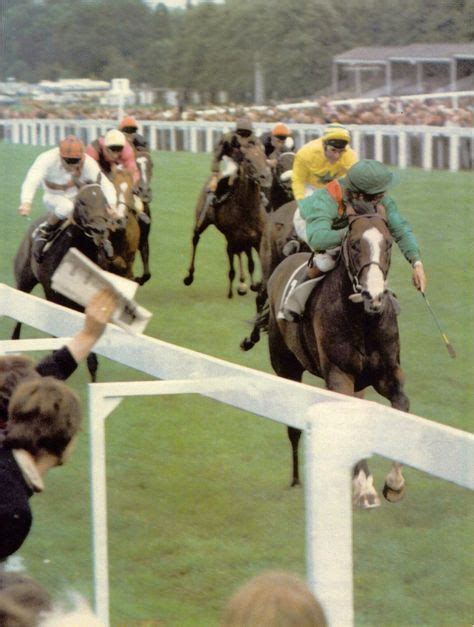 26 Shergar ideas | horse racing, horses, sport of kings