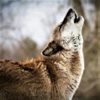 Married To Jesus Tgcs Resident Gay Anglican Priest Wears Wedding Ring Despite Being Single