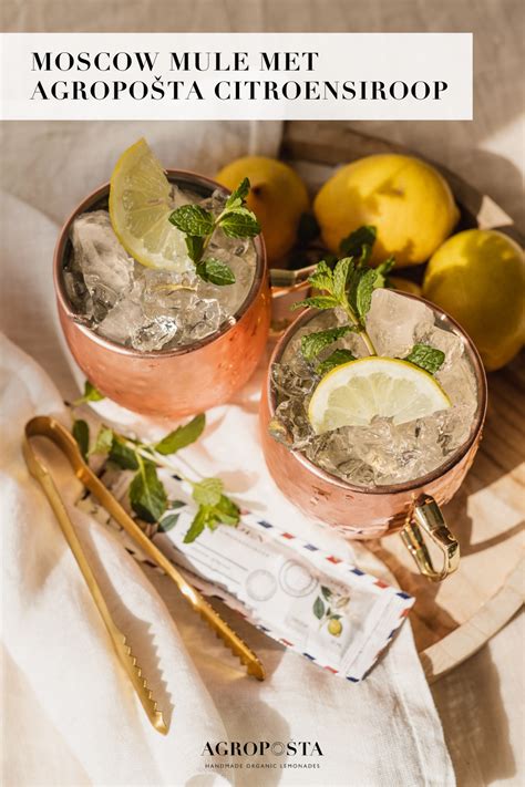 Moscow Mule Ook Een Van Jouw Favoriete Cocktails Bekijk Hier Het