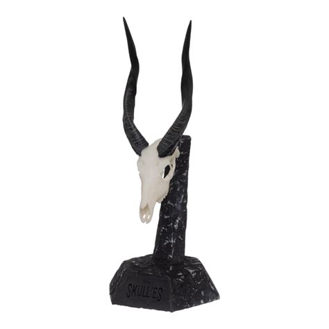 Skullies Miniature Bushbuck Skull For Sale — Skulls Unlimited