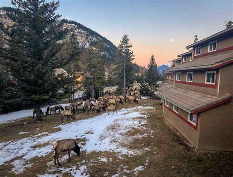 HI Banff Alpine Centre, Banff - 2023 Prices & Reviews - Hostelworld