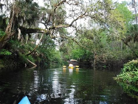 Glamping adds a sense of safari to Hillsborough River State Park