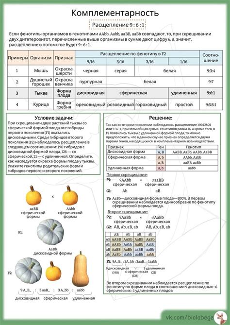 Pin oleh Людмила Павленко di 01Біологія-конспекти