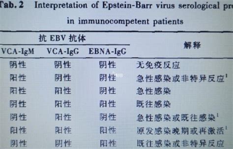 看懂eb病毒五项检测报告真不难，结果对照表告诉你是否正常 相因宝贝