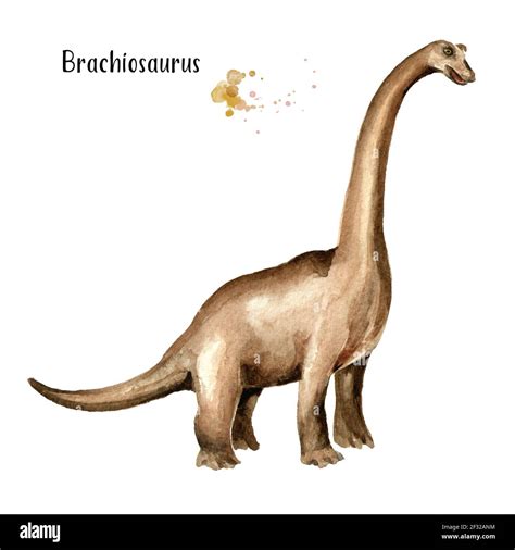 Brachiosaurus Dinosaur High Resolution Stock Photography and Images - Alamy