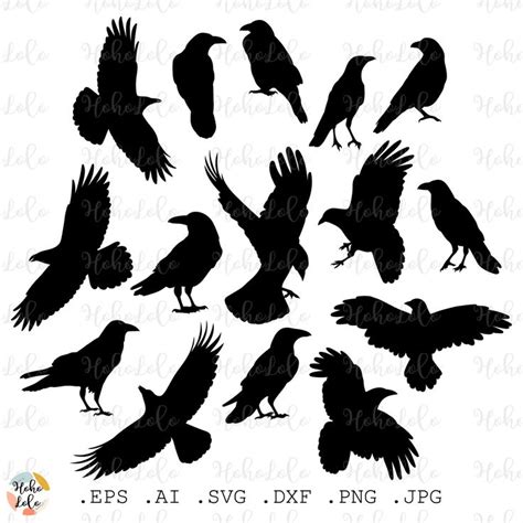 Raven Svg Crow Silhouette Cricut Files Template Clipart Png