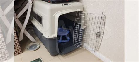 Переноска для собак triol купить в Москве | Животные и зоотовары | Авито