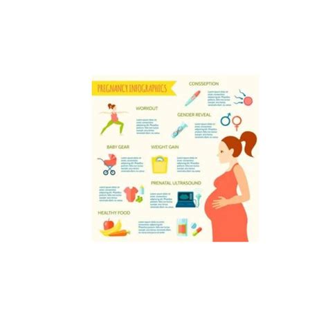 Download Ultrasound, Pregnancy Ultrasound, Heartbeat Bears. Royalty-Free Stock Illustration ...