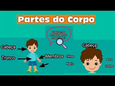 Cabeça Tronco E Membros - As partes do corpo humano/ cabeça, tronco e membros. - YouTube
