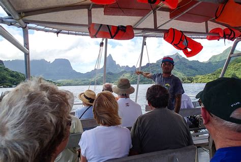 How To Go Swimming With Stingrays On A Moorea Shore Excursion