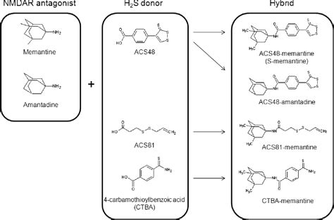 Figure 1 From Cytoprotective Effects Of Hydrogen Sulfide Releasing N