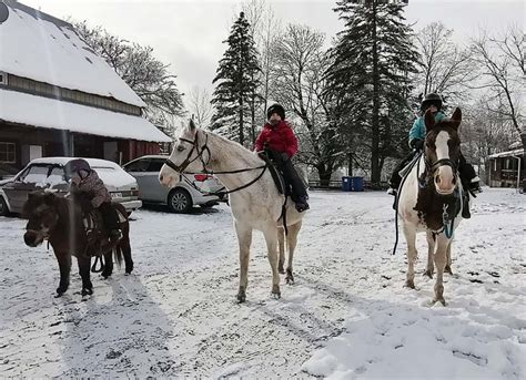 Les Meilleures Activit S Pour La Rel Che Tourisme Drummondville