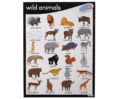 Wild Animals Poster - Mambo's Online Store