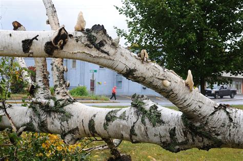 Photos September Storm Whips Through Central Maine Kennebec Journal