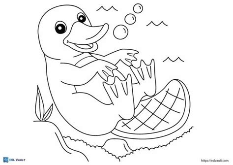 15 free PDF Australian animals coloring pages - ESL Vault