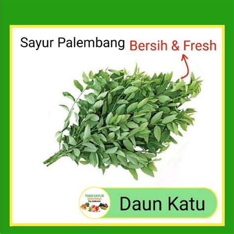 Jual Sayur Daun Katuk Katu Per Ikat Sayur Segar Palembang Shopee