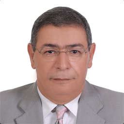 Khalil Hassan Khalil Chairman Federation Of Egyptian Chambers Of