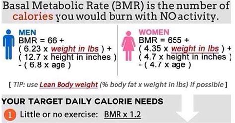 Keys to a Healthy Lifestyle : Understanding weight loss: BMR