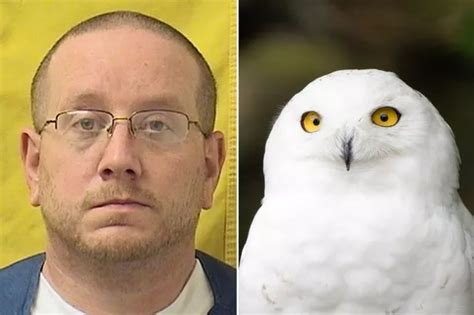 Bizarre Seagull Sex Act Saw Man Drop Pants In Alleyway And Cause Bird Suffering Daily Star