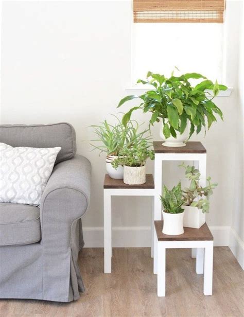 Cool Plant Stand Design Ideas For Indoor Houseplants Ecotek Green Living