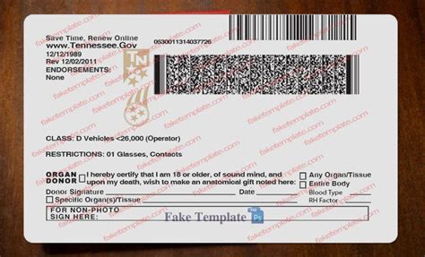 Blank Drivers License Template