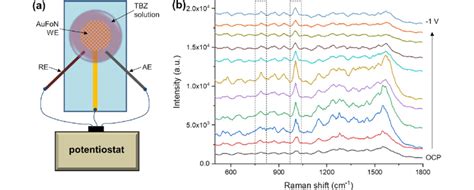 A Scheme Of The EC SERS Setup Configuration B Potential Dependent SERS