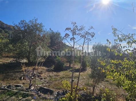 Terreno Agricolo Piazza Botte Savoca Rif Immobiliare It