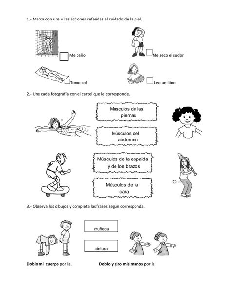 Ficha Online De Sistema Locomotor Para Quinto De Primaria Puedes Hacer Los Ejercicios Online O