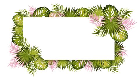 Palm Pink Leaf Border, Frame, Decoration, Palm Leaves PNG Transparent ...